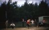 Filename=IMG183.jpg
Filesize=193KiB
Dimensions=1024x632
Date added=Dec 13, 2013 IMG183.jpg