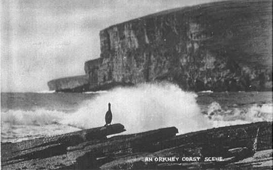Orkney Coast Scene
A postcard entitled an Orkney Coast Scene
