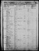 1850 Census Ansel Pelton NY.jpg