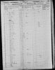 1850 Census Lysander Pelton NY.jpg