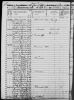 1850 Census William H Pelton.jpg