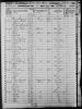 1850 US Census David M Pelton.jpg