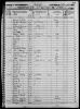1850 US Census John T Pelton.jpg